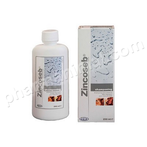 ZINCOSEB SHAMPOOING    fl/250 ml 	sol ext